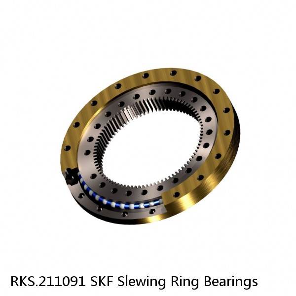 RKS.211091 SKF Slewing Ring Bearings #1 small image