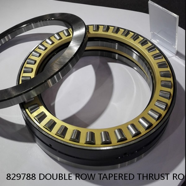 829788 DOUBLE ROW TAPERED THRUST ROLLER BEARINGS #1 small image
