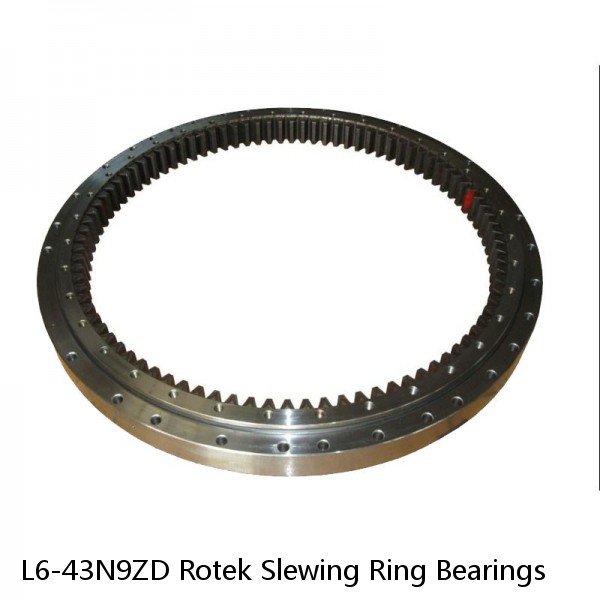 L6-43N9ZD Rotek Slewing Ring Bearings #1 small image