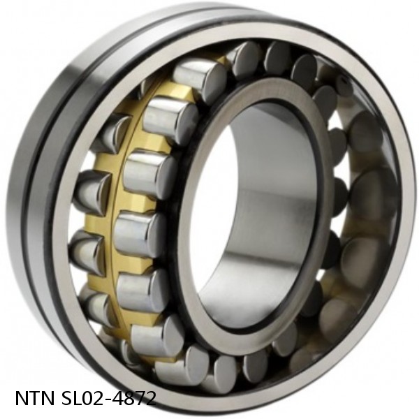 SL02-4872 NTN Cylindrical Roller Bearing #1 small image