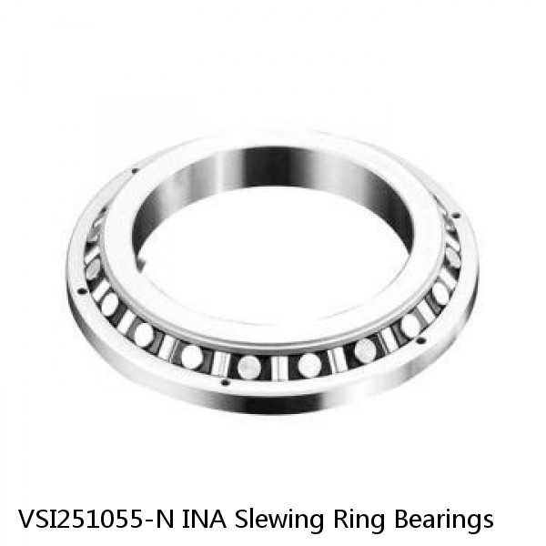 VSI251055-N INA Slewing Ring Bearings #1 small image