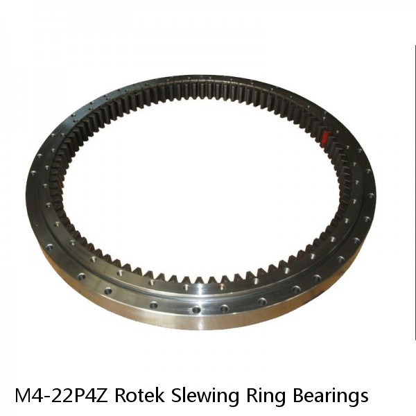 M4-22P4Z Rotek Slewing Ring Bearings #1 small image