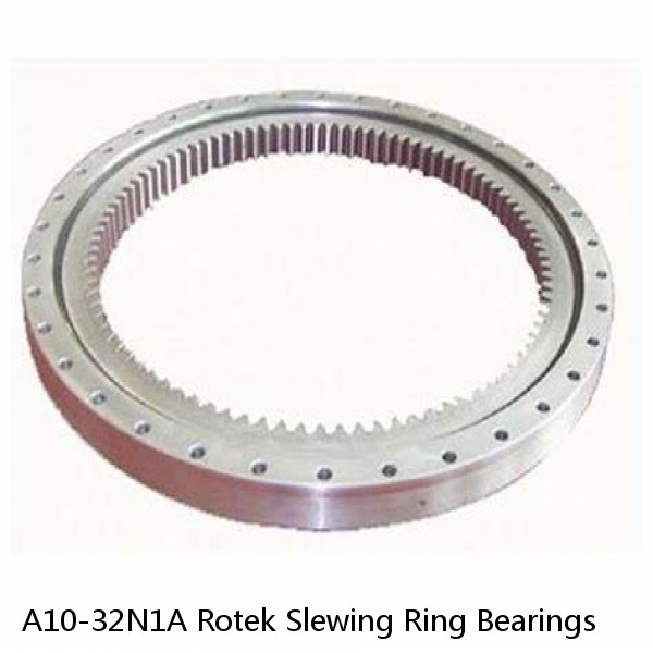 A10-32N1A Rotek Slewing Ring Bearings #1 small image