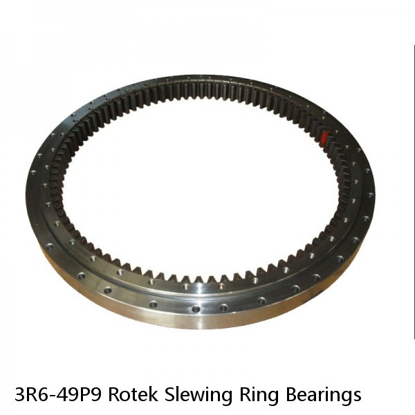 3R6-49P9 Rotek Slewing Ring Bearings #1 small image