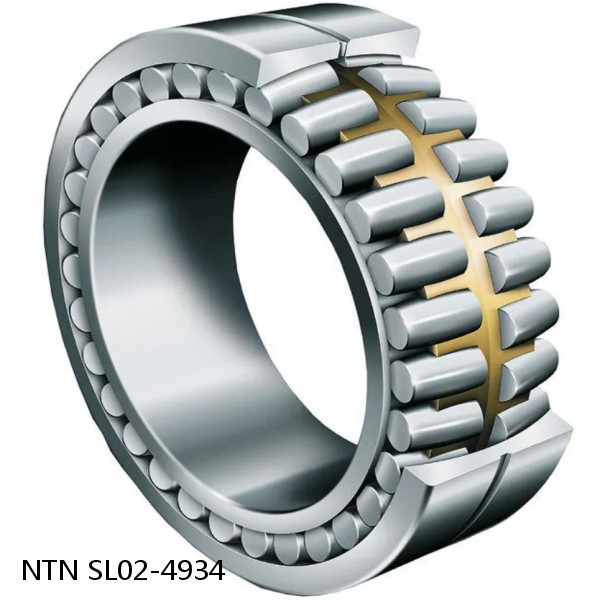 SL02-4934 NTN Cylindrical Roller Bearing #1 small image