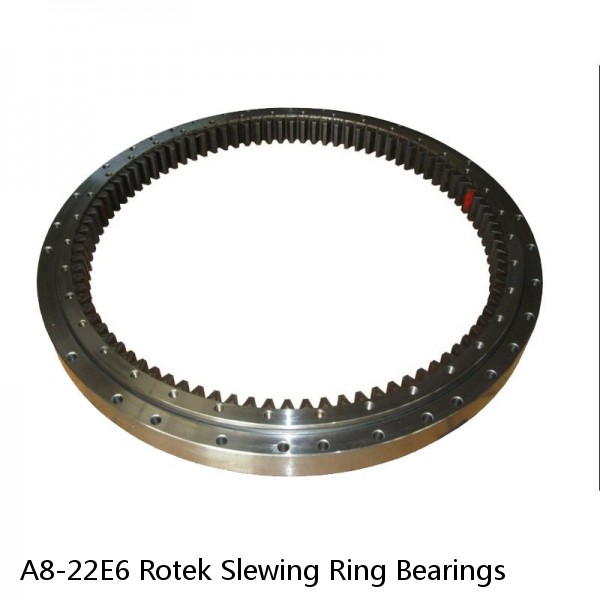 A8-22E6 Rotek Slewing Ring Bearings #1 image