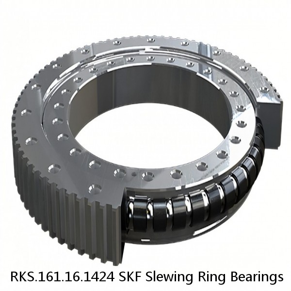 RKS.161.16.1424 SKF Slewing Ring Bearings #1 image