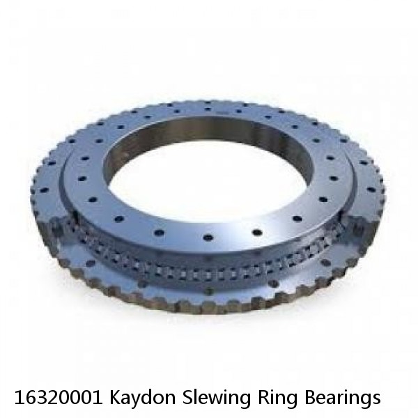 16320001 Kaydon Slewing Ring Bearings #1 image