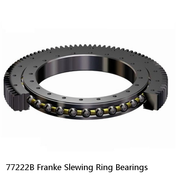 77222B Franke Slewing Ring Bearings #1 image