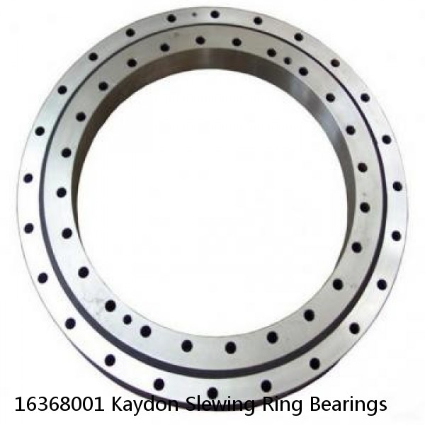 16368001 Kaydon Slewing Ring Bearings #1 image