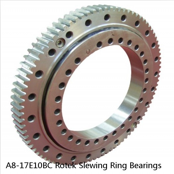 A8-17E10BC Rotek Slewing Ring Bearings #1 image