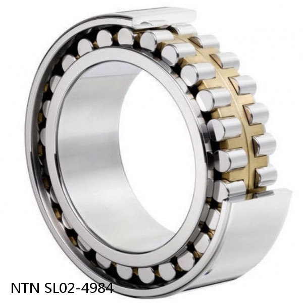 SL02-4984 NTN Cylindrical Roller Bearing #1 image