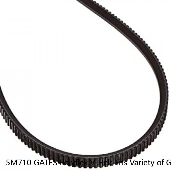 5M710 GATES Polyflex V-Belt Fits Variety of Grizzly, Harbor Freight, Jet Lathes #1 image